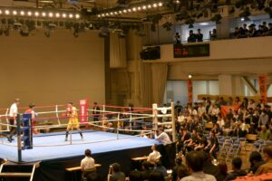 日本大学戦の応援(遠景)